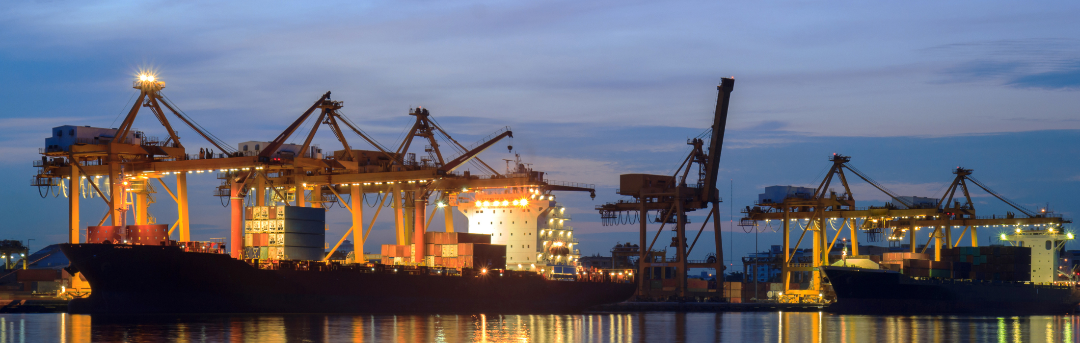 התחלת תהליך היבוא