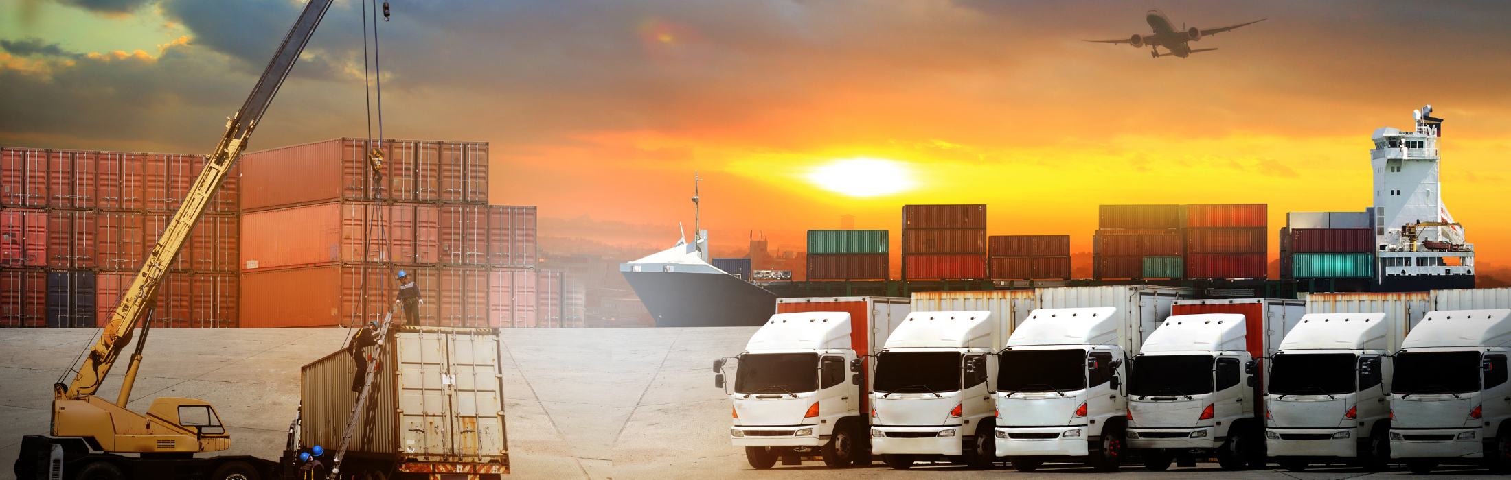 מיסים פופולאריים