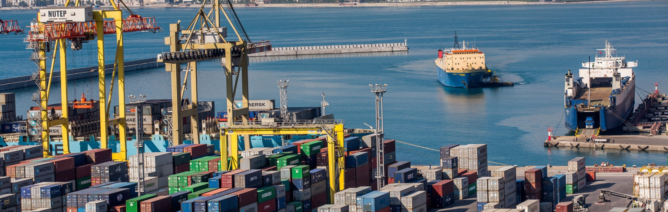 הסגרים חוזרים לערי נמל מרכזיות