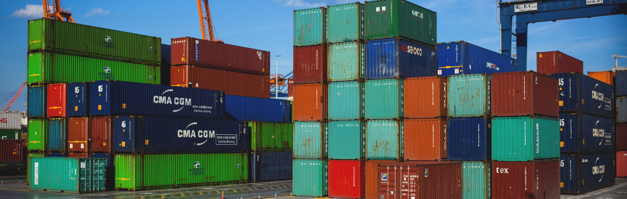 הקלות בשחרור מהמכס ליבואנים במסלולים מיוחדים