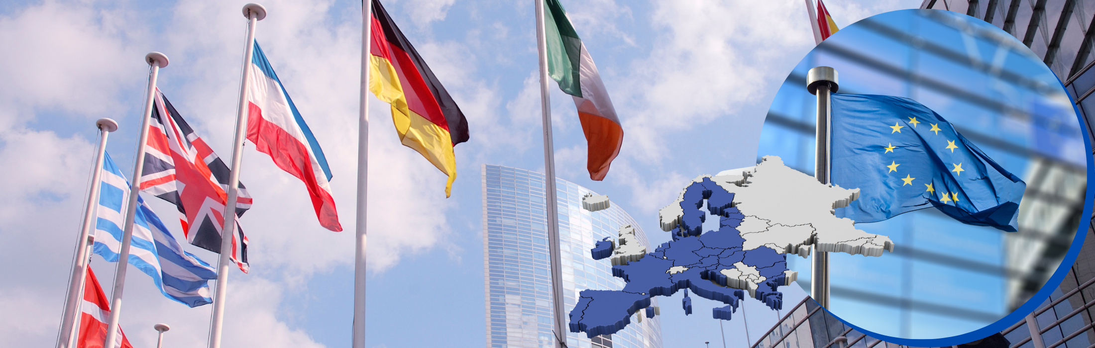 רפורמת מכס באיחוד האירופי