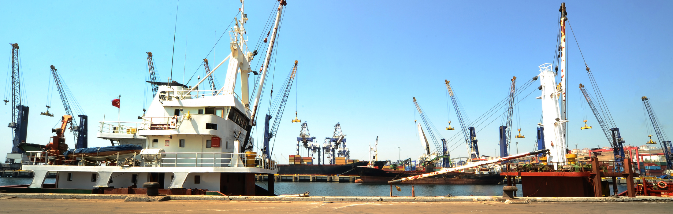 משרד הכלכלה והתעשייה פותח מסלולי סיוע ליצואנים וחברות המשווקות לשווקים בינלאומיים - בהיקף של עשרות מיליוני שקלים