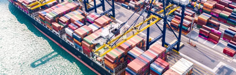 The Importer’s Practical Guide