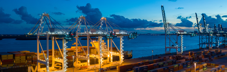 חברת MSC: הוארך הפטור מדמי השהייה ב-14 יום נוספים