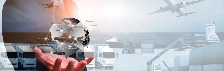 מדריך ליבוא אישי