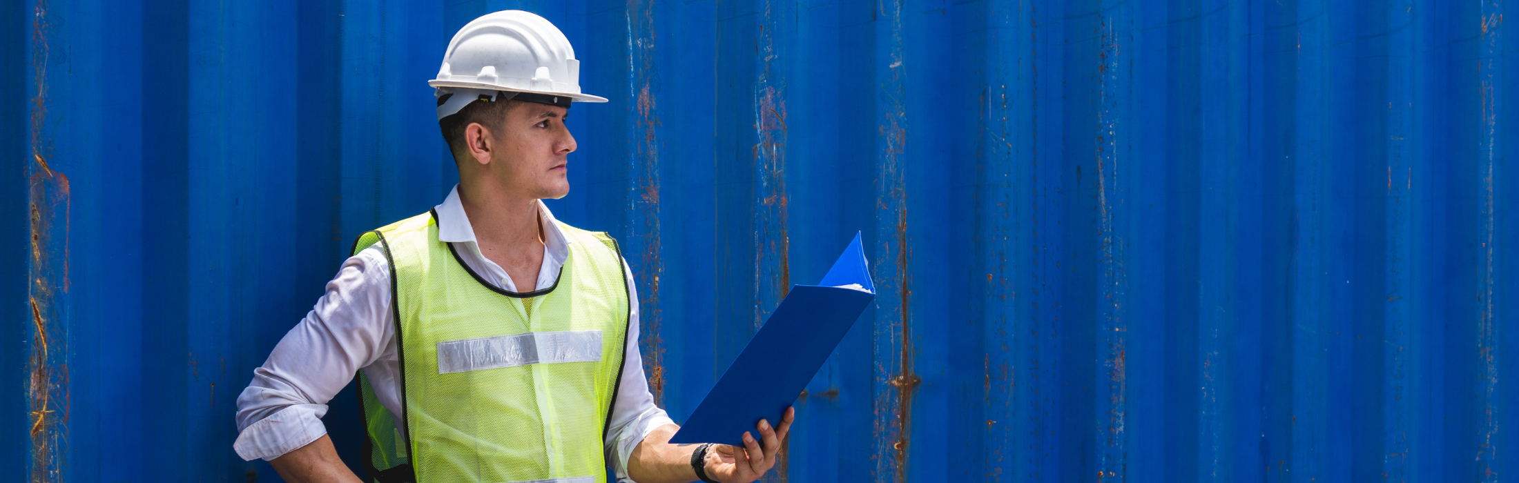 תפקידו של עמיל מכס