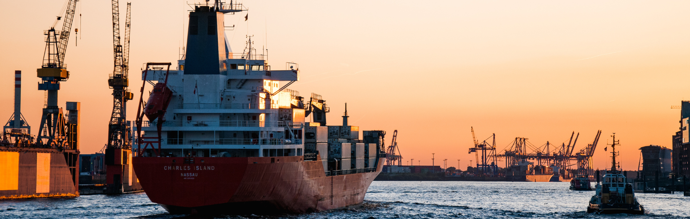 יחדיו עמילות מכס (3)