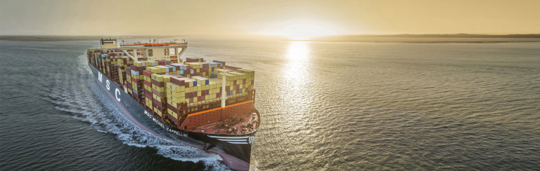 האניה MSC Aries: כ-3 מיליון דולר סחורה ישראלית נחטפה לאיראן