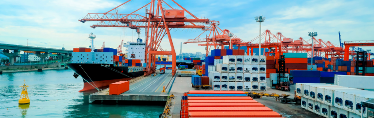 תעריפי ההובלה הימית במגמת נסיקה