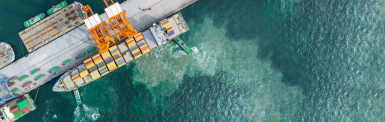 מדריך ליבואנים מתחילים: כל מה שצריך לדעת כדי להצליח
