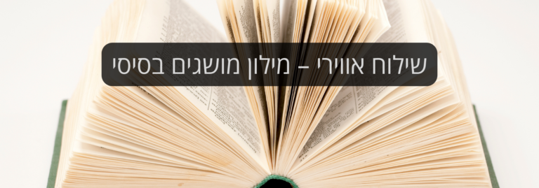 שילוח אווירי – מילון מושגים בסיסי
