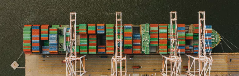 Customs Broker – The Central Player in the Supply Chain: Roles, Responsibilities, and Challenges