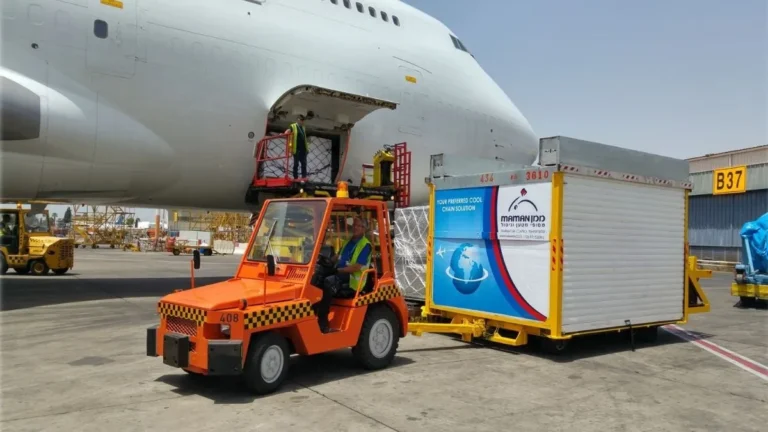 יבואנים: עיכובים בקליטת מטענים במסוף ממן